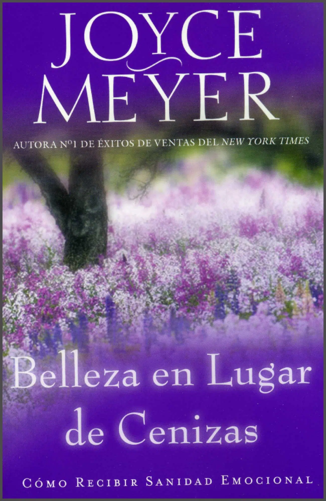Belleza en lugar de cenizas 9781455504350 Belleza en lugar de cenizas