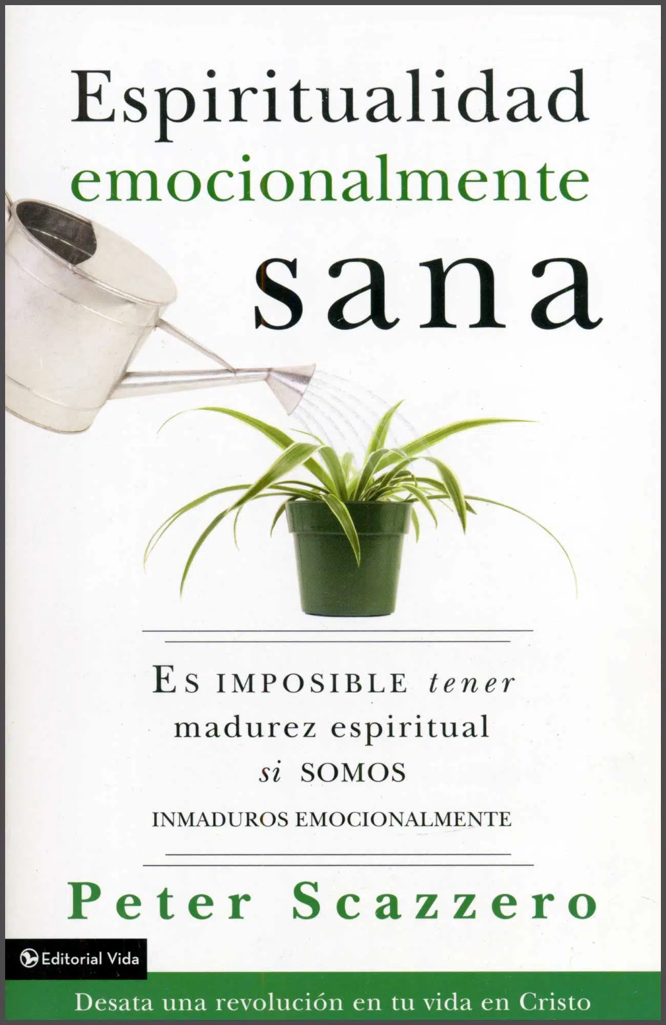 Espiritualidad emocionalmente sana 9780829765649 Espiritualidad emocionalmente sana