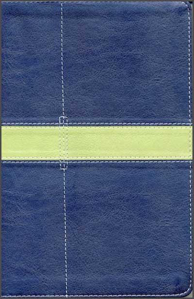 Biblia un día a la vez azul y verde NVI