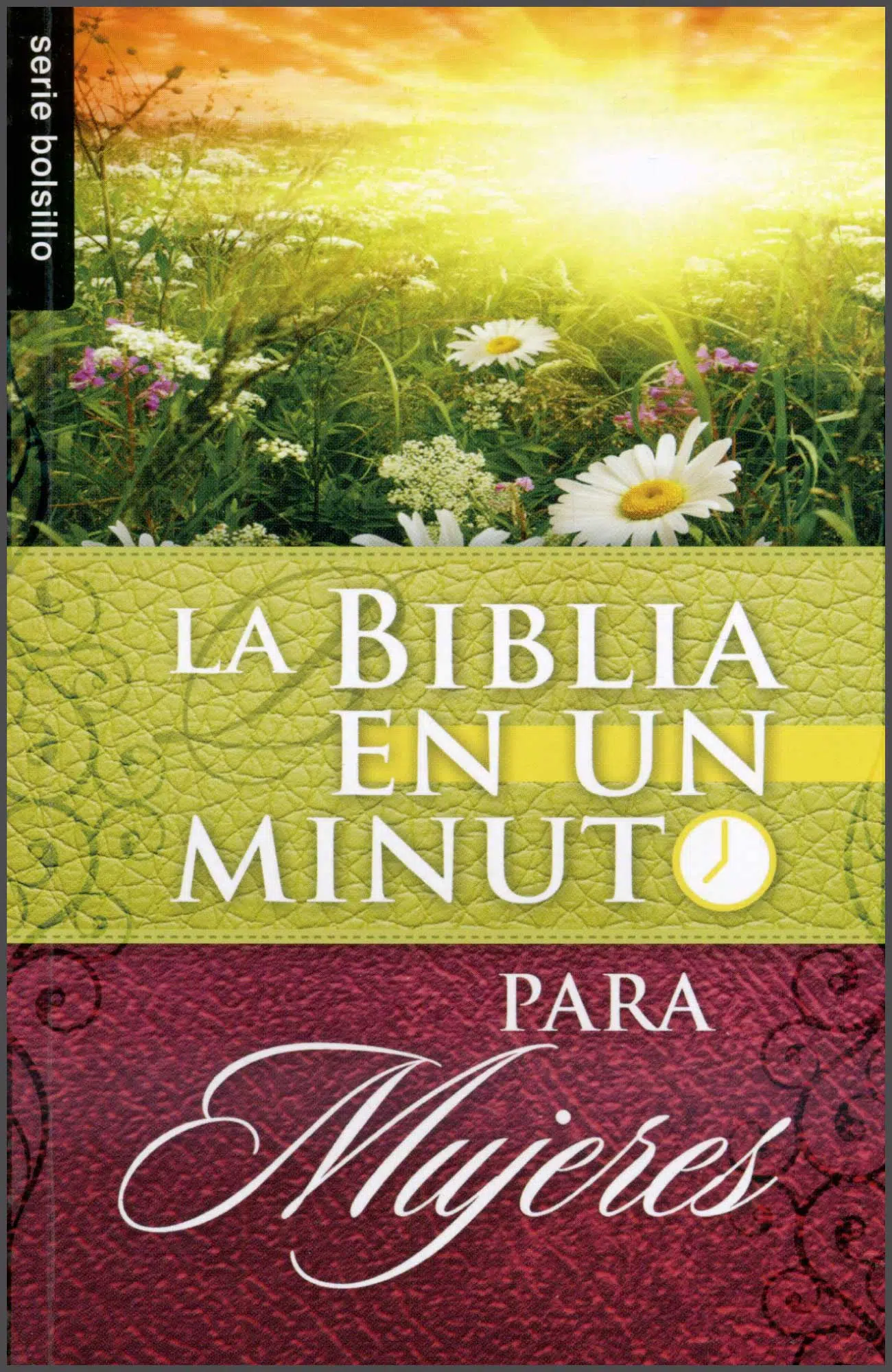 Biblia en un minuto para mujeres LP728 Biblia en un minuto para mujeres