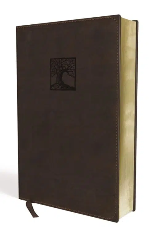 Biblia de estudio la justicia de Dios marrón NVI 9780829765366 Biblia de estudio la justicia de Dios marrón NVI - Imagen 2