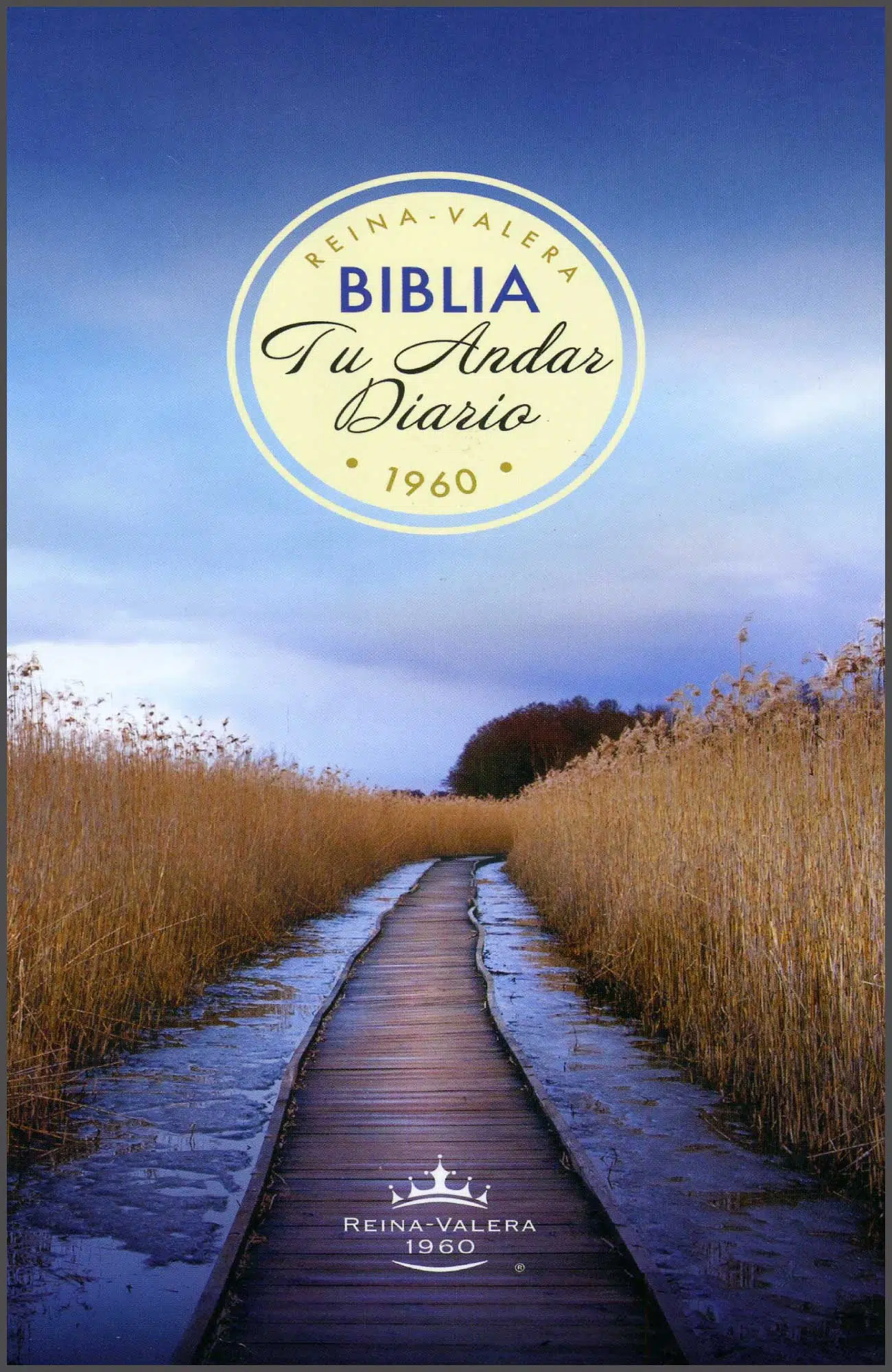 Biblia tu andar diario Reina Valera 1960 LP947 Biblia tu andar diario Reina Valera 1960