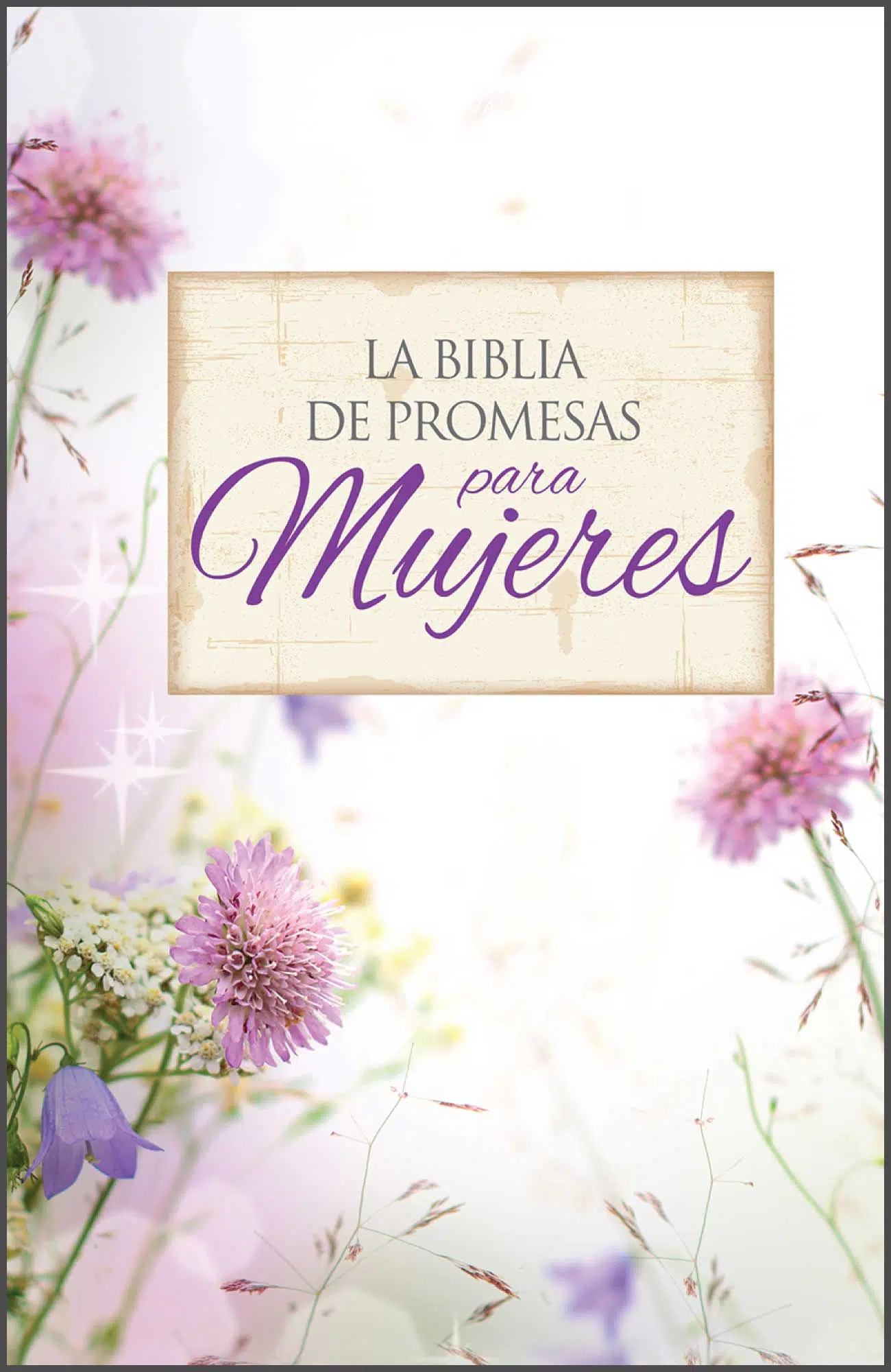 Biblia de promesas floral Reina Valera 1960 LP866 Biblia de promesas floral Reina Valera 1960