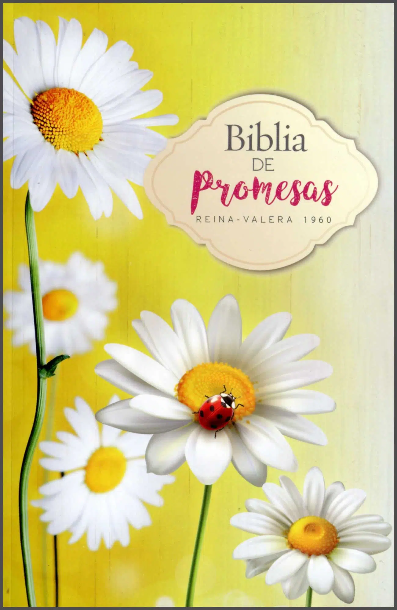 Biblia de promesas Reina Valera 1960 9780789923448 Biblia de promesas Reina Valera 1960