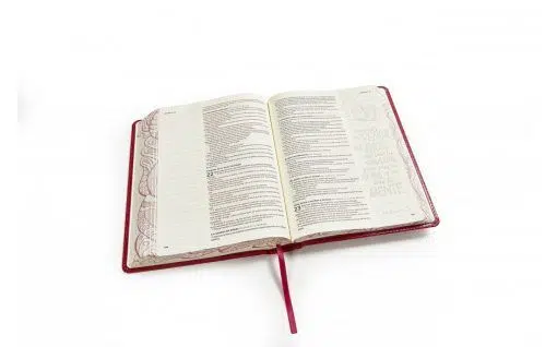 Biblia de apuntes ilustrada rosada Reina Valera 1960 9781462746477 Biblia de apuntes ilustrada rosada Reina Valera 1960 - Imagen 4