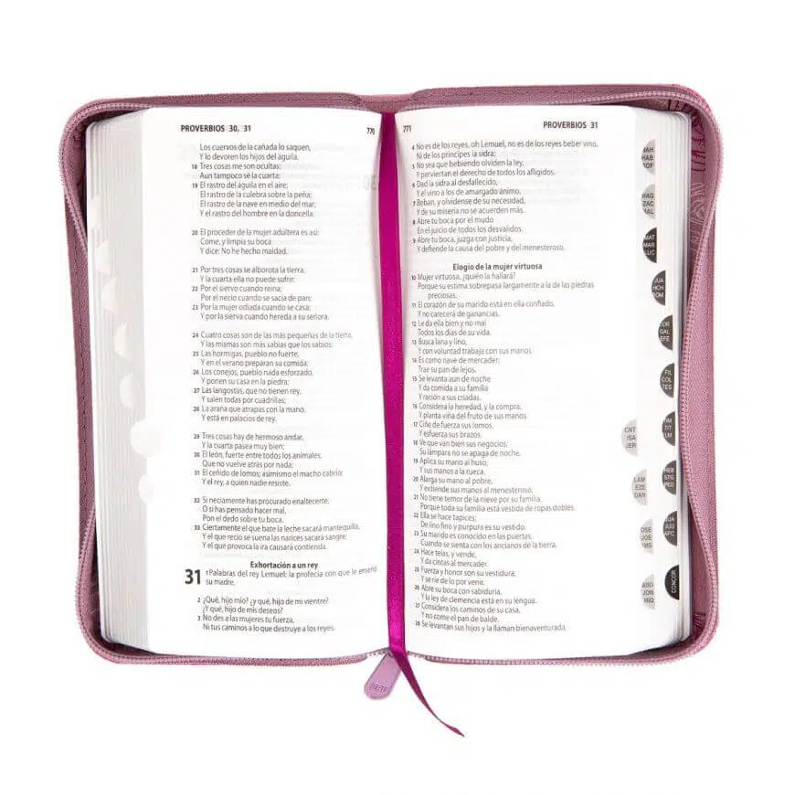 Biblia rosa tipo billetera Reina Valera 1960 9789587455878 Biblia rosa tipo billetera Reina Valera 1960 - Imagen 3