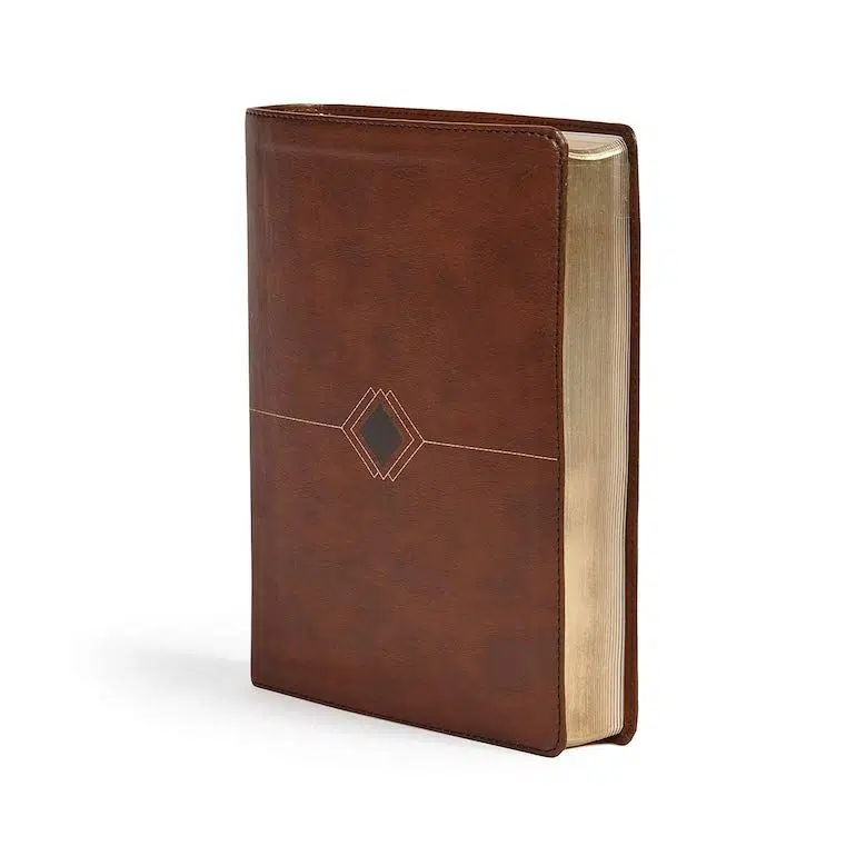 Biblia cronológica día por día marrón Reina Valera 1960 9781087701417 Biblia cronológica día por día marrón Reina Valera 1960 - Imagen 2