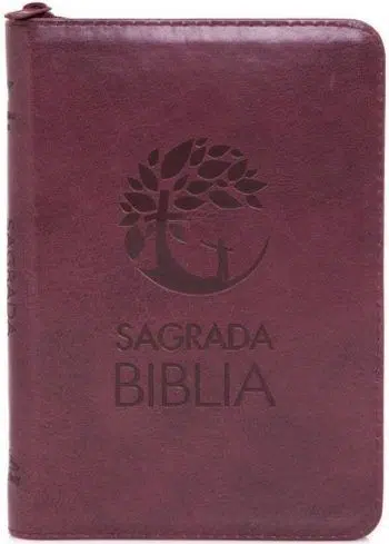 Biblia manual vinotinto con cierre DHH