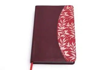 Biblia de estudio para mujeres vinotinto Reina Valera 1960 9781433618963 Biblia de estudio para mujeres vinotinto Reina Valera 1960 - 9781433618963