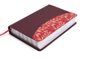 Biblia de estudio para mujeres vinotinto Reina Valera 1960 9781433618963 Biblia de estudio para mujeres vinotinto Reina Valera 1960 - 9781433618963