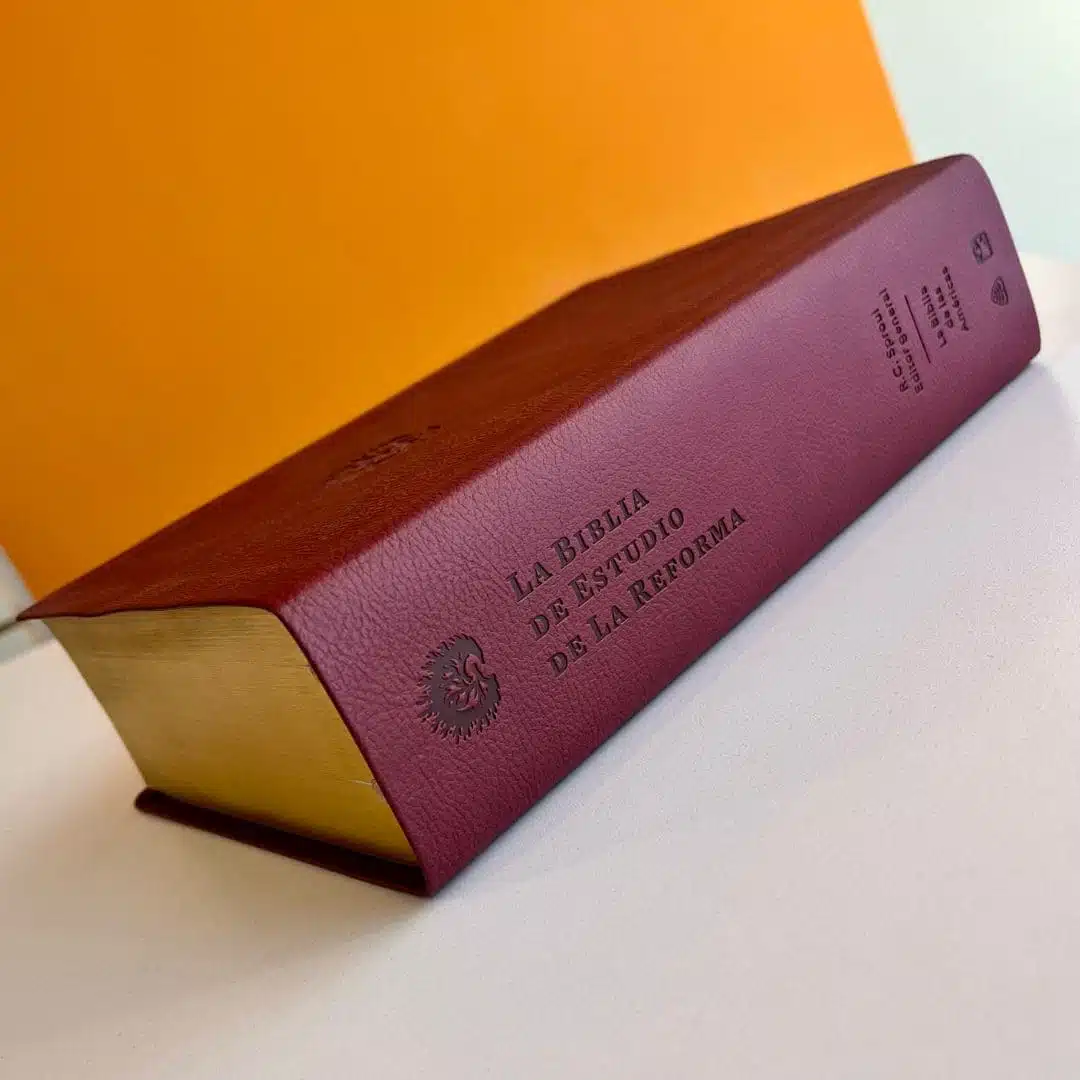 Biblia de Estudio de la Reforma LBLA, Símil Piel, Ciruela 9781642893038 Biblia de Estudio de la Reforma LBLA, Símil Piel, Ciruela - Imagen 4