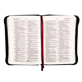 Biblia mediana con cierre color verde Reina Valera 1960 9789587450781 Biblia mediana con cierre color verde Reina Valera 1960 - Imagen 3