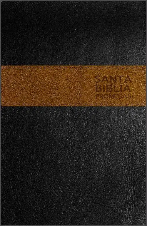 Biblia de promesas negro - marrón NTV 9780789920799 Biblia de promesas negro - marrón NTV