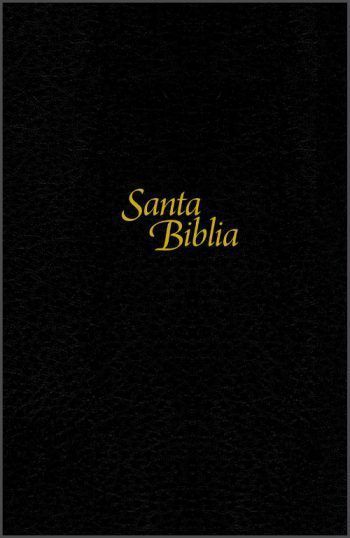 Biblia edición personal letra grande tapa dura sentipiel NTV
