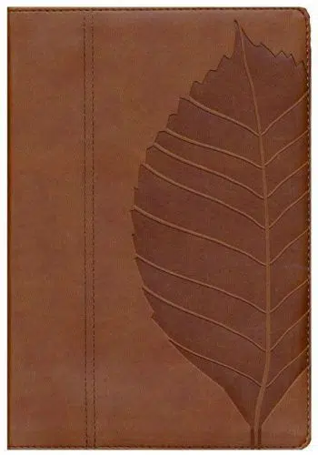Biblia de estudio vidas transformadas café duotono Reina Valera 1960 9780825419829 Biblia de estudio vidas transformadas café duotono Reina Valera 1960 - 9780825419829