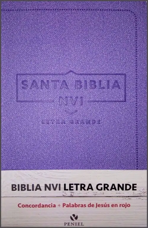 Biblia letra grande violeta Reina Valera 1960 9789870101529 Biblia letra grande violeta Reina Valera 1960