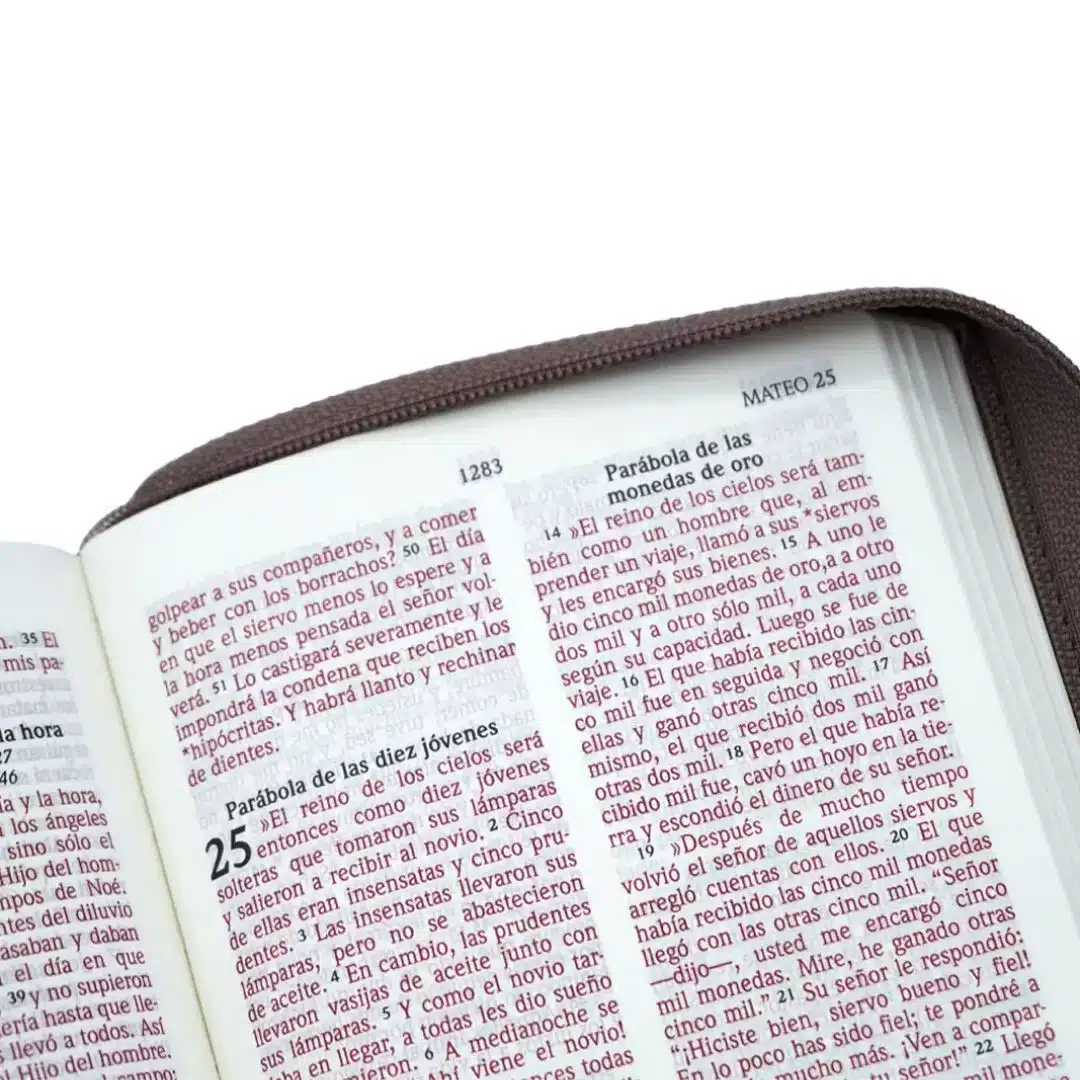 Biblia NVI, Tamaño Compacto, Letra Grande, Imitación Piel, Cierre, Marrón 9781949238846 Biblia NVI, Tamaño Compacto, Letra Grande, Imitación Piel, Cierre, Marrón - Imagen 3