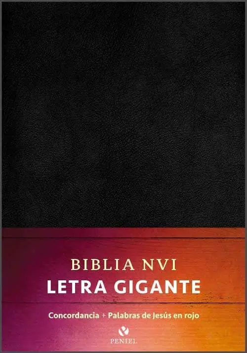 Biblia legra gigante negra NVI 9781949238389 Biblia legra gigante negra NVI