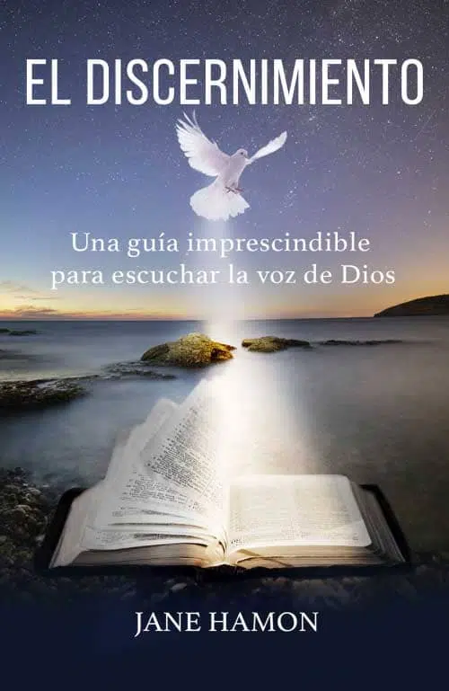 El discernimiento 9789587372229 El discernimiento