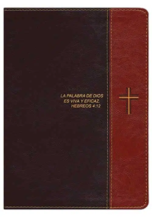 Biblia de estudio Diario Vivir letra grande marrón duotono Reina Valera 1960 9781496436702 Biblia de estudio Diario Vivir letra grande marrón duotono Reina Valera 1960 - Imagen 2