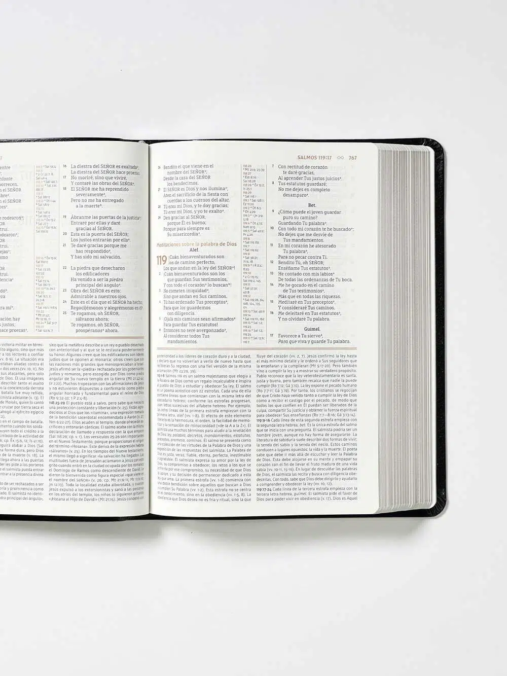 Biblia de estudio Gracia y Verdad en piel fabricada negra con interior a dos colores NBLA 9780829770032 Biblia de estudio Gracia y Verdad en piel fabricada negra con interior a dos colores NBLA - Imagen 4