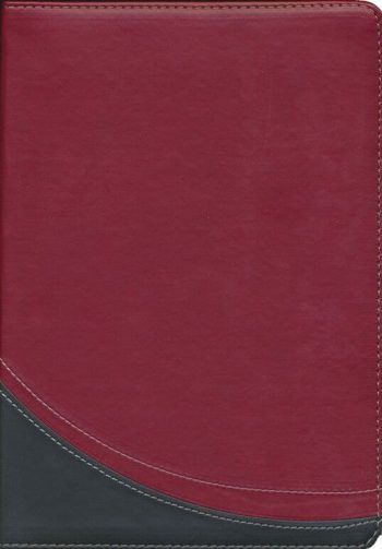 La Biblia en orden cronológico duotono Reina Valera 1960