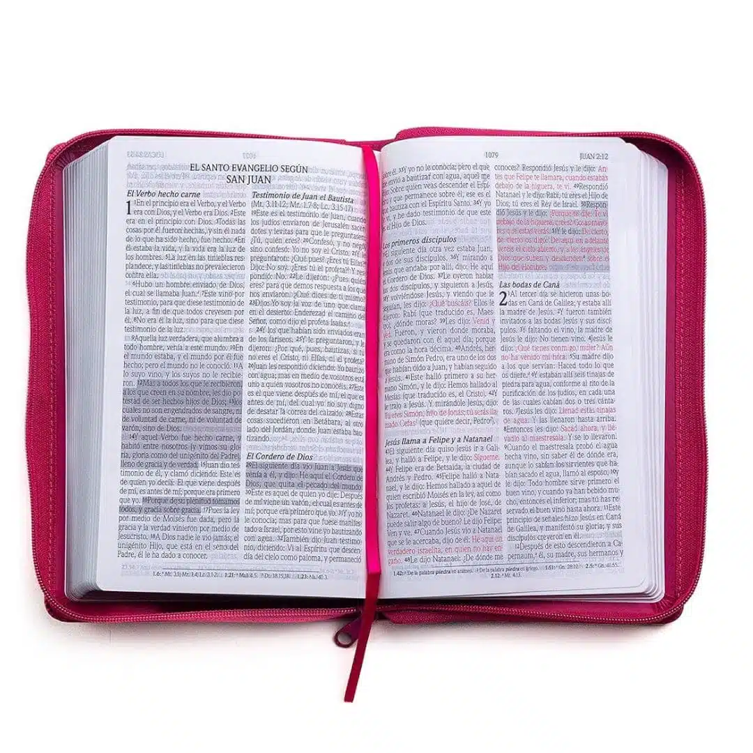 Biblia de Promesas, Reina Valera 1960, Tamaño Manual, Letra Grande, Imitación Piel, con Cierre, Fucsia 9780789925800 Biblia de Promesas, Reina Valera 1960, Tamaño Manual, Letra Grande, Imitación Piel, con Cierre, Fucsia - Imagen 3