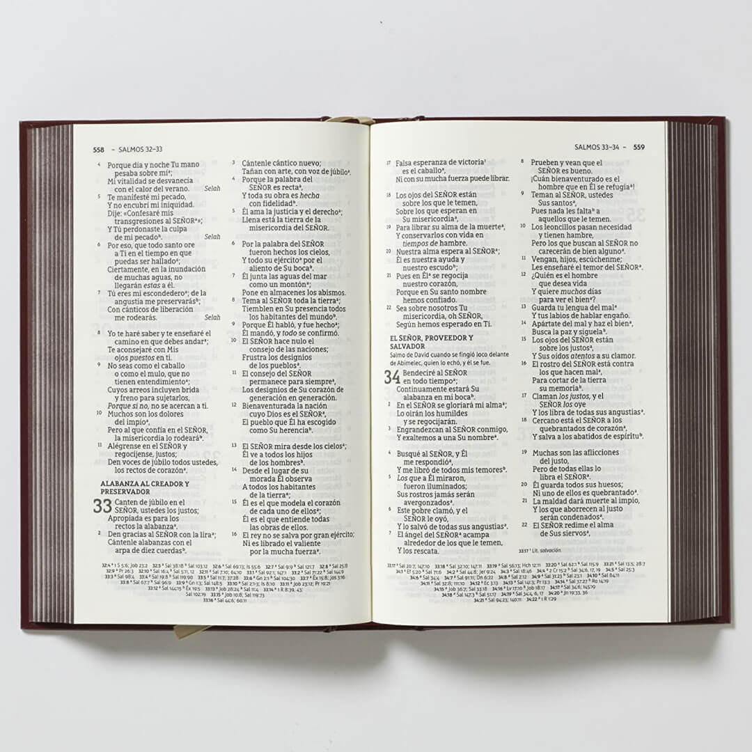 Biblia congregacional letra grande tapa dura Sola Scriptura NBLA 9780829770797 Biblia congregacional letra grande tapa dura Sola Scriptura NBLA - Imagen 2