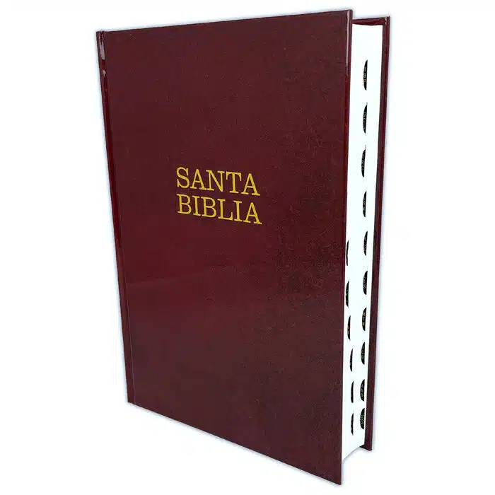 Biblia NTV, Letra Super Gigante, Índice, Tapa Dura Vinotinto 9781496450241 Biblia NTV, Letra Super Gigante, Índice, Tapa Dura Vinotinto