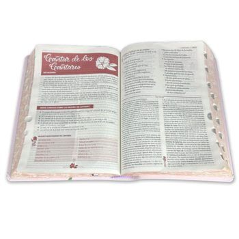 Biblia de estudio ser mujer, con índice, Reina Valera 1960 7899938420362 Biblia de estudio ser mujer, con índice, Reina Valera 1960 - Imagen 3