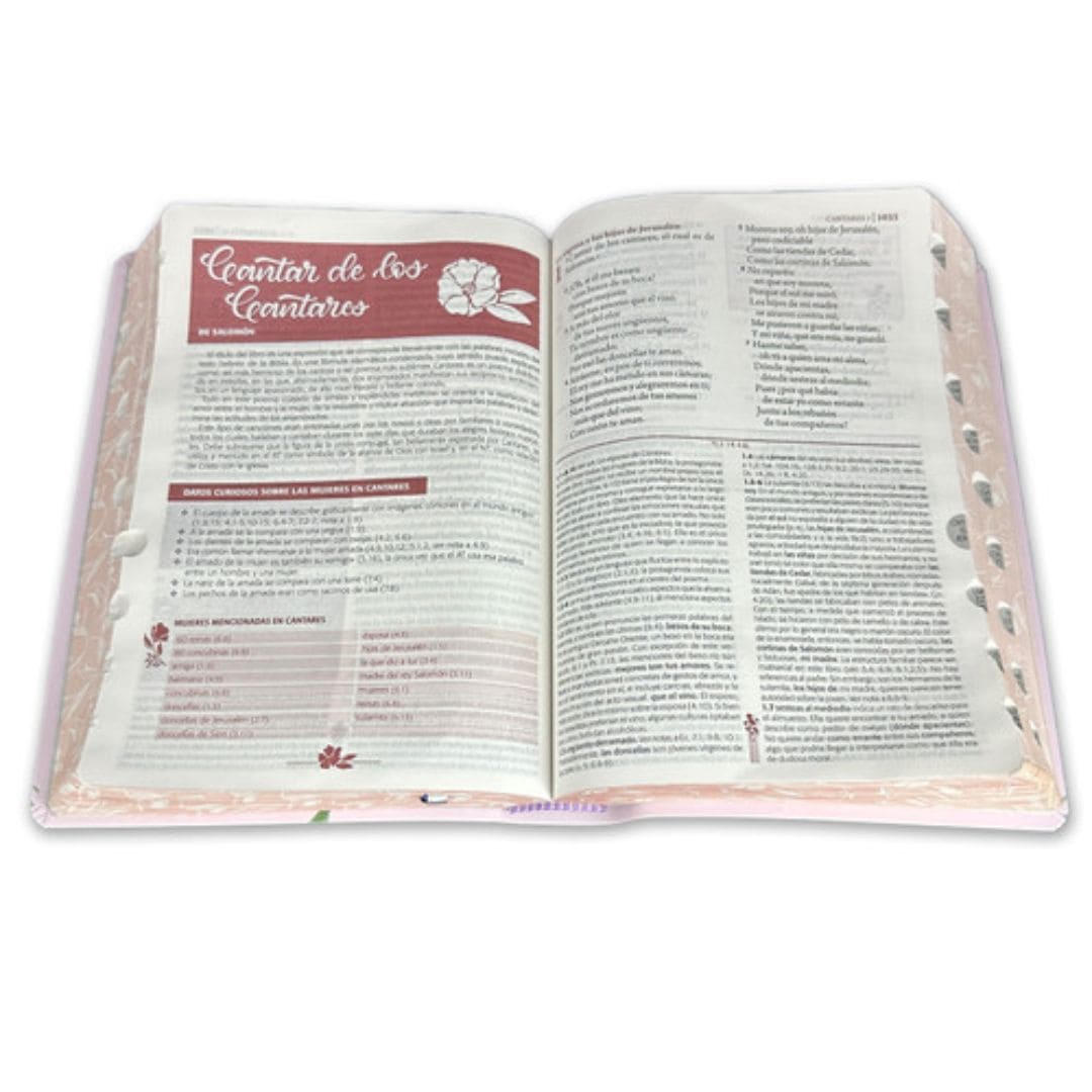 Biblia De Estudio Ser Mujer Letra Grande Reina Valera 1960 5 7899938420362 1