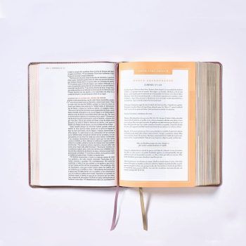 Biblia NBLA ama a Dios grandemente, oro rosa 9780829732788 Biblia NBLA ama a Dios grandemente, oro rosa - 9780829732788