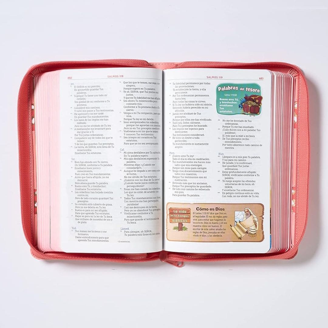 Biblia aventura NBLA 9780829771572 Biblia aventura NBLA - Imagen 2