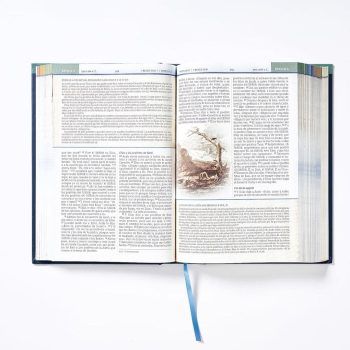 Biblia cronológica de estudio NBLA 9780829771589 Biblia cronológica de estudio NBLA - 9780829771589