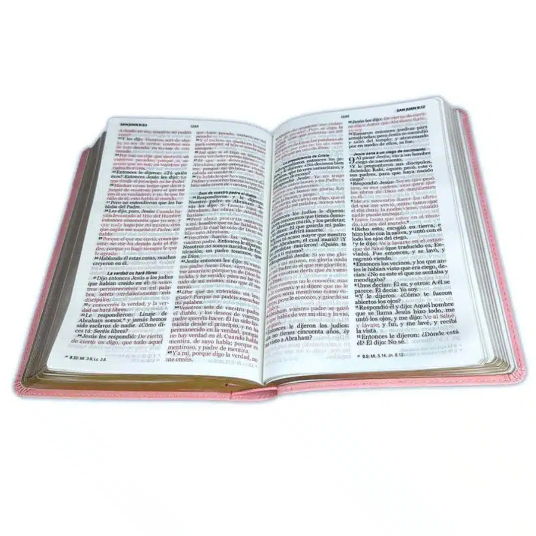 Biblia Reina Valera 1960, letra grande, imitación piel, manual, rosa 9798885160032 Biblia Reina Valera 1960, letra grande, imitación piel, manual, rosa - Imagen 2