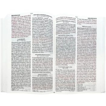 Alternative view of Biblia, Letra Grande, Tapa flex, Reina Valera 1960