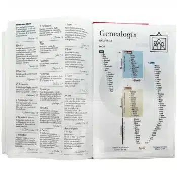 Biblia, Letra Grande, Tapa flex, Reina Valera 1960 9798885163972 Biblia, Letra Grande, Tapa flex, Reina Valera 1960 - 9798885163972