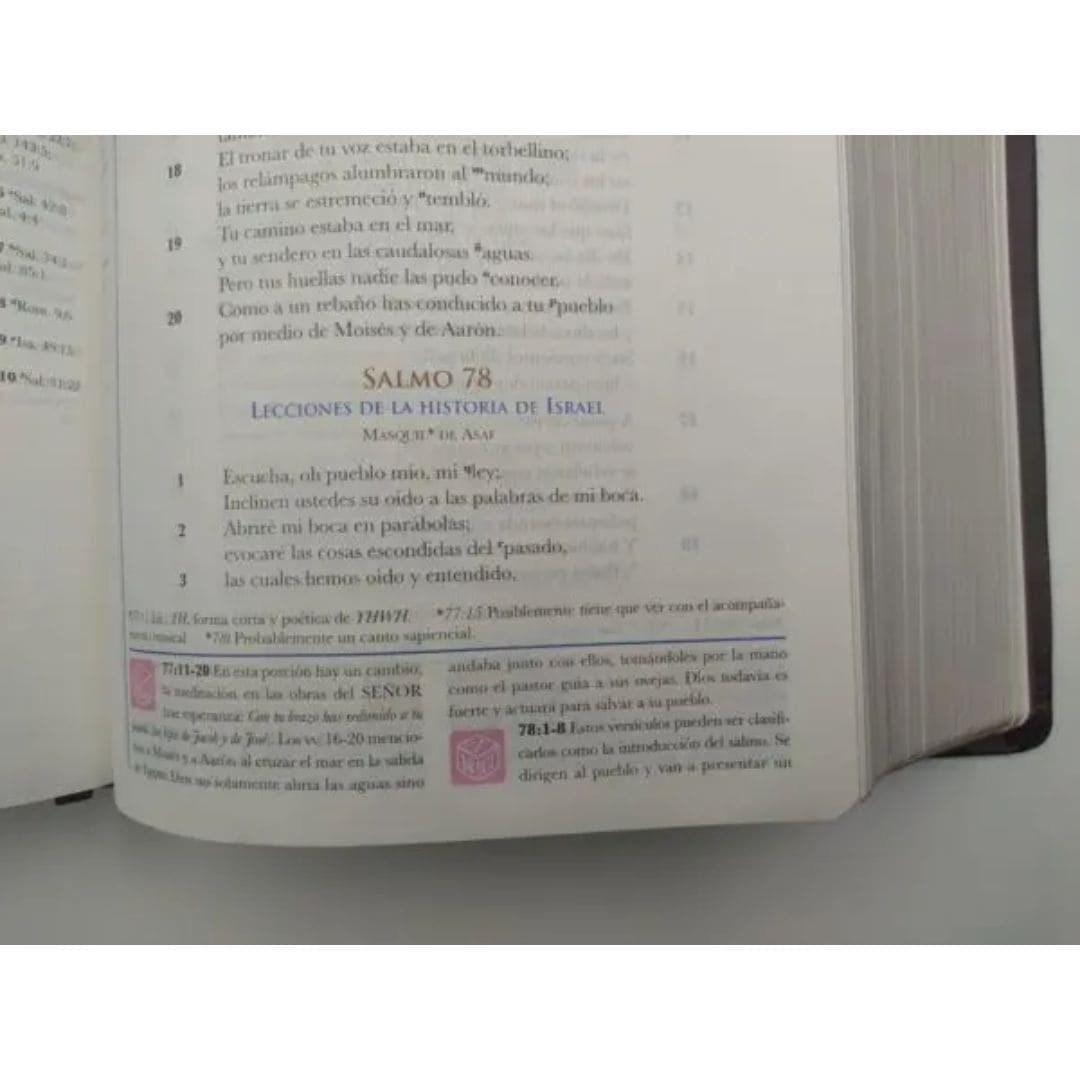Biblia de estudio mundo hispano 9780311488919 Biblia de estudio mundo hispano - Imagen 3