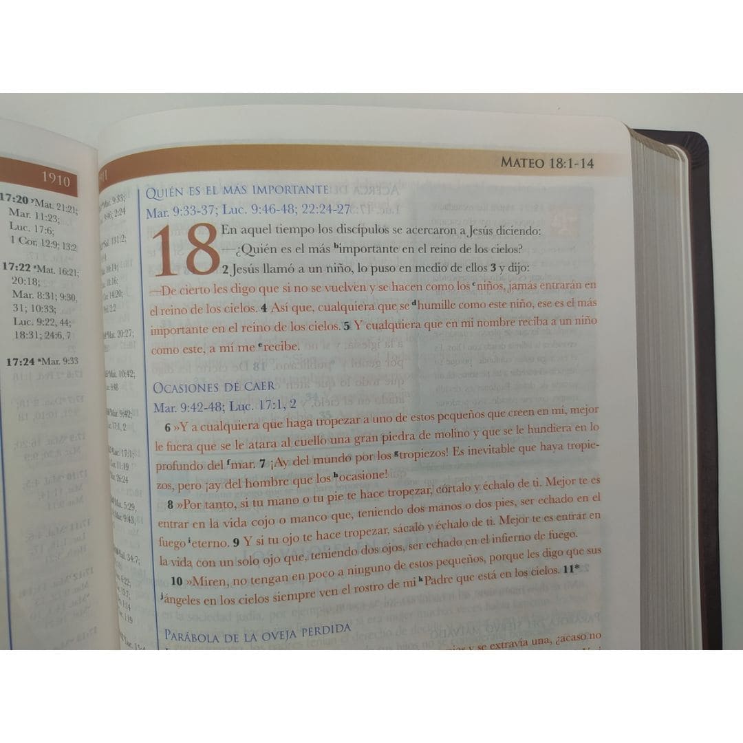 Biblia de estudio mundo hispano 9780311488919 Biblia de estudio mundo hispano - Imagen 2