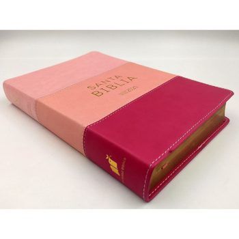 Biblia Reina Valera 2020, letra grande, imitación piel, tricolor rosa 9788418630224 Biblia Reina Valera 2020, letra grande, imitación piel, tricolor rosa - 9788418630224