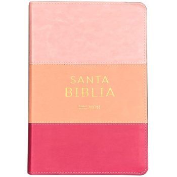 Biblia Reina Valera 2020, letra grande, imitación piel, tricolor rosa