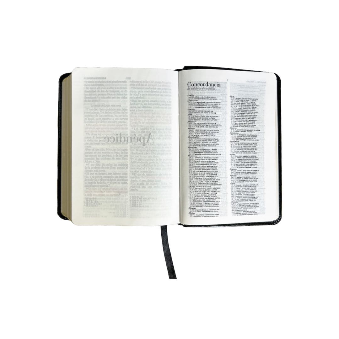 Biblia Reina Valera 1960, imitación piel, bolsillo, sin cierre, negra 9798885162760 Biblia Reina Valera 1960, imitación piel, bolsillo, sin cierre, negra - Imagen 2