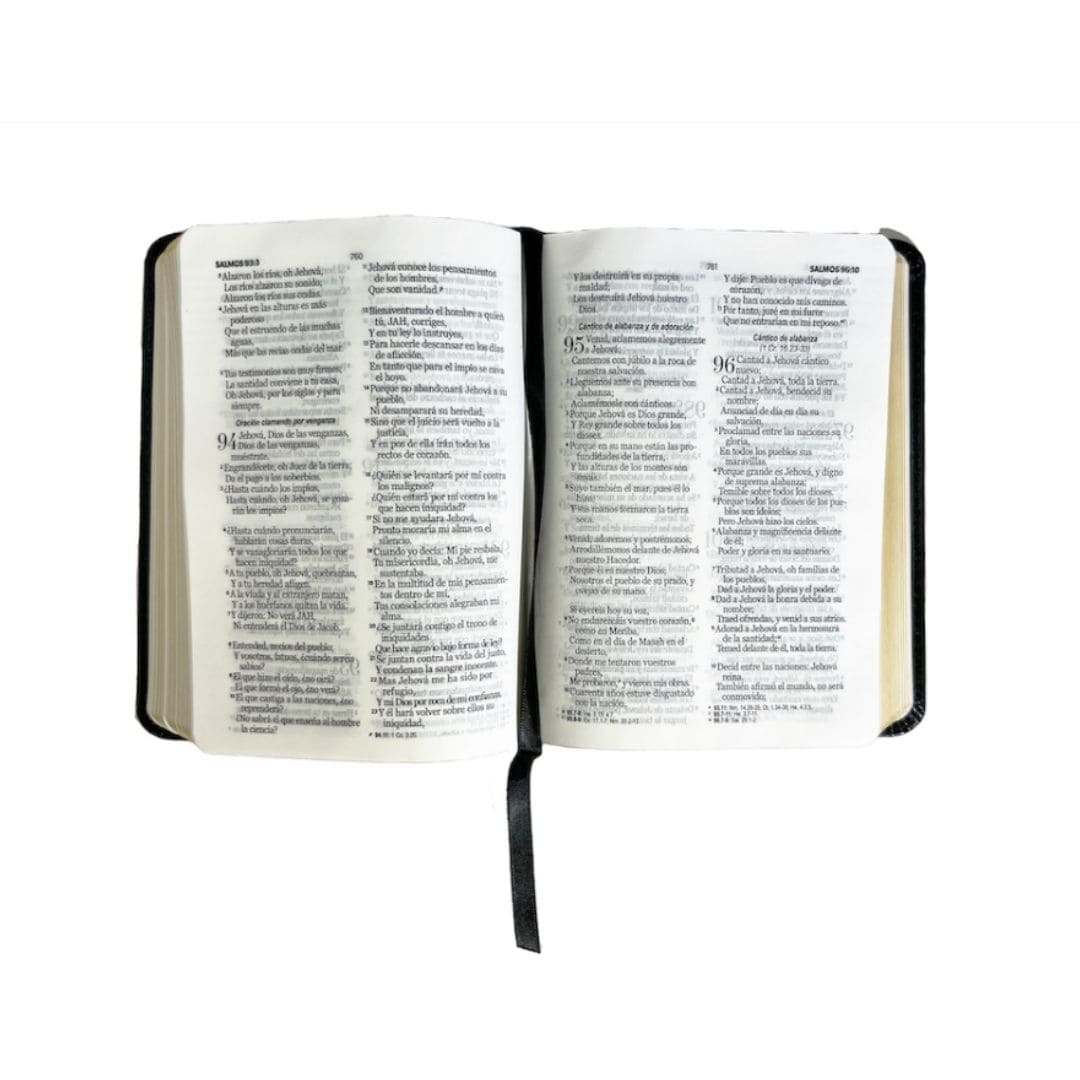 Biblia Reina Valera 1960, imitación piel, bolsillo, sin cierre, negra 9798885162760 Biblia Reina Valera 1960, imitación piel, bolsillo, sin cierre, negra - Imagen 3