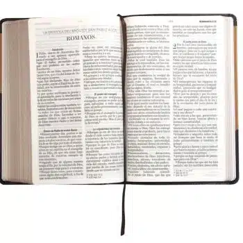 Biblia Reina Valera 1960, Tamaño Manual, Letra Grande, Imitación Piel, Bitono Café 9798885160254 Biblia Reina Valera 1960, Tamaño Manual, Letra Grande, Imitación Piel, Bitono Café - 9798885160254