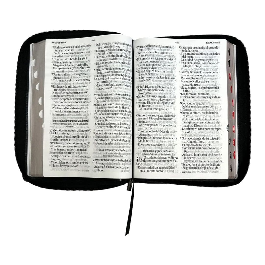 Biblia Reina Valera 1960, Letra Super Gigante, Símil Piel, con Índice, con  Cierre, Negra: 9798885161824 - Librería Cristiana - LibroPasion.com -  Colombia