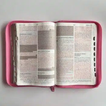 Biblia de Promesas Reina Valera 1960, Letra Gigante, Piel, Índice, Cierre, Floral, Fucsia 9780789927958 Biblia de Promesas Reina Valera 1960, Letra Gigante, Piel, Índice, Cierre, Floral, Fucsia - 9780789927958