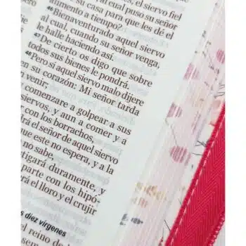 Biblia Reina Valera 1960, Tamaño Manual, Letra Grande, Símil Piel, Cierre, Primaveral, Fucsia 9798885162395 Biblia Reina Valera 1960, Tamaño Manual, Letra Grande, Símil Piel, Cierre, Primaveral, Fucsia - 9798885162395