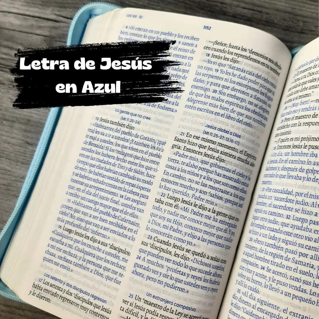 Biblia TLA, Tipo Agenda, Letra Grande, Símil Piel, Cierre, Bicolor Azul Morado 9789587459623 Biblia TLA, Tipo Agenda, Letra Grande, Símil Piel, Cierre, Bicolor Azul Morado - Imagen 6