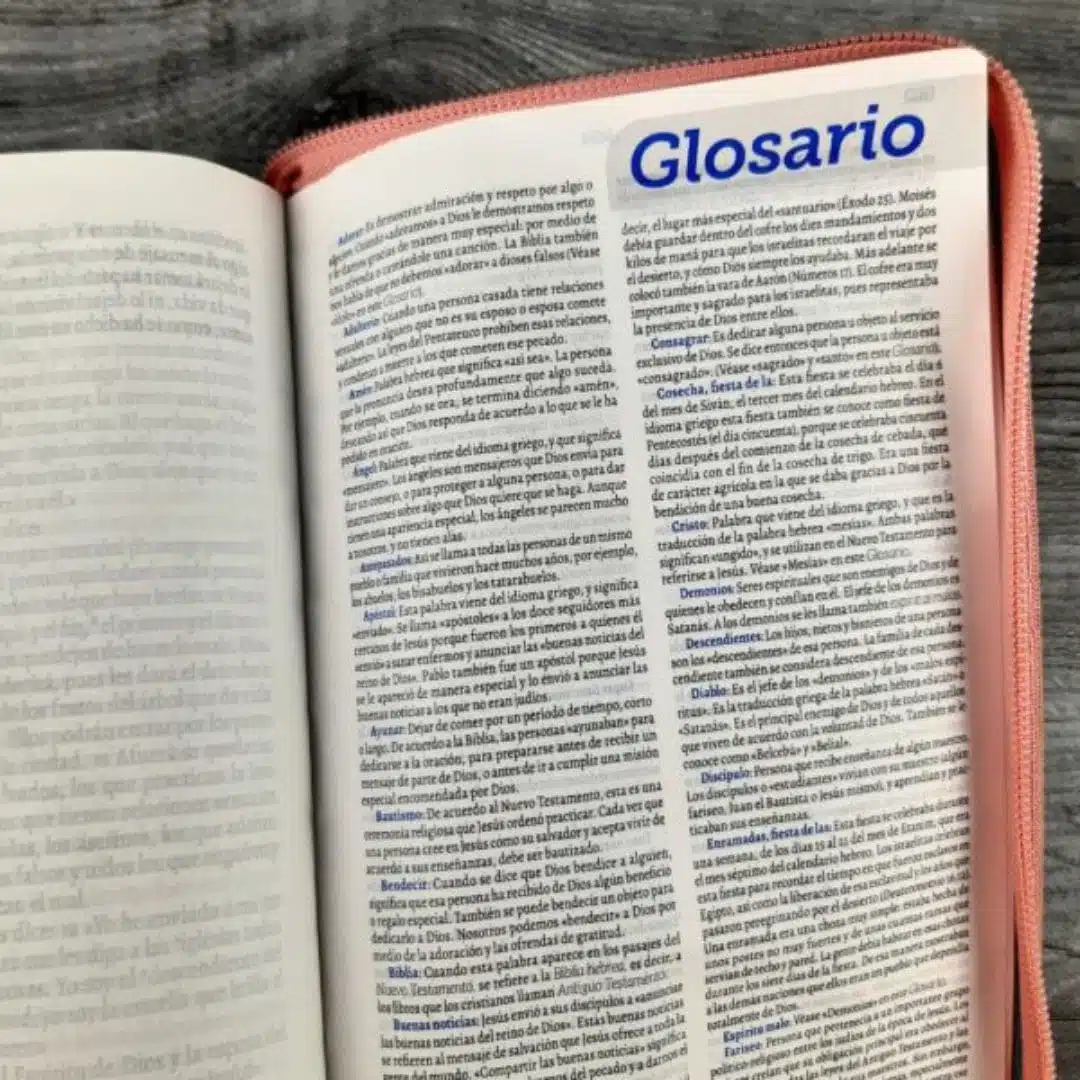 Biblia TLA, Tipo Agenda, Letra Grande, Símil Piel, Cierre, Bicolor Verde Rosa 9789587459616 Biblia TLA, Tipo Agenda, Letra Grande, Símil Piel, Cierre, Bicolor Verde Rosa - Imagen 5