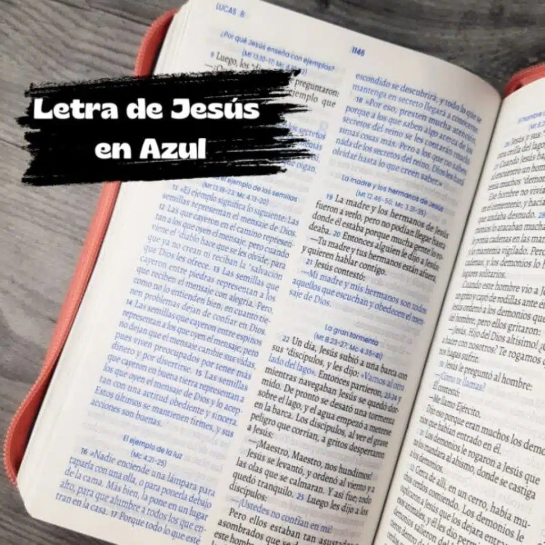 Biblia TLA, Tipo Agenda, Letra Grande, Símil Piel, Cierre, Bicolor Verde Rosa 9789587459616 Biblia TLA, Tipo Agenda, Letra Grande, Símil Piel, Cierre, Bicolor Verde Rosa - Imagen 6